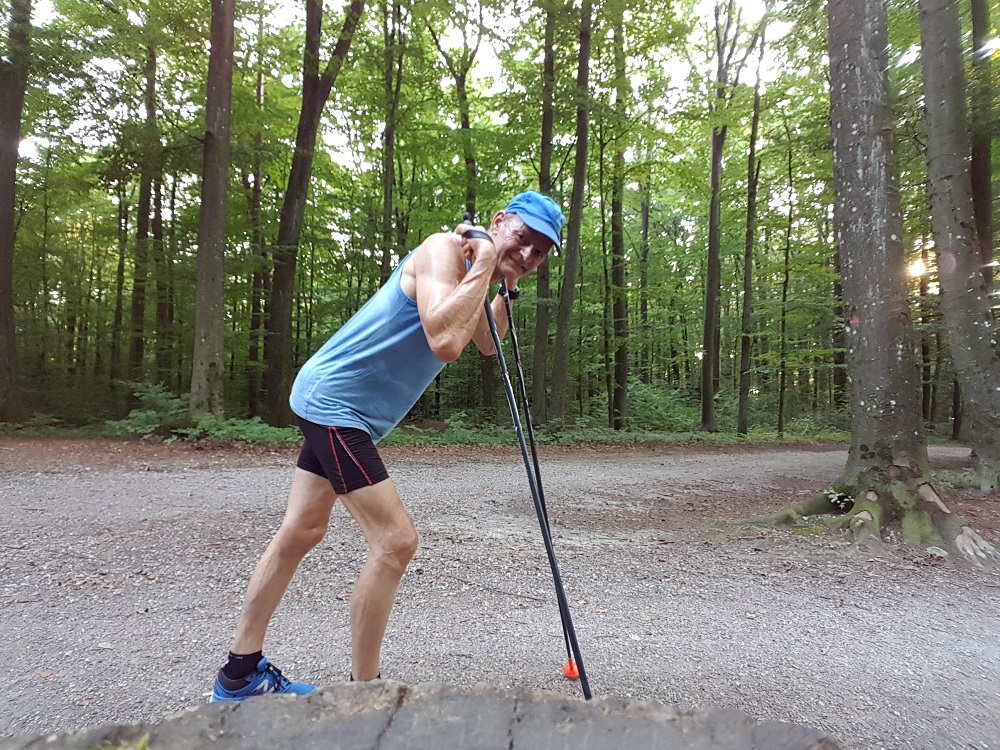 ski bounding intervals with poles