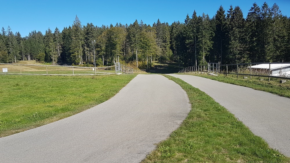 Roller Skiing – the most specific summer training for competing cross country skiers.
